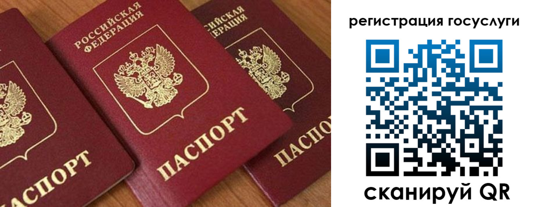 временная регистрация гарантия в Ингушетии